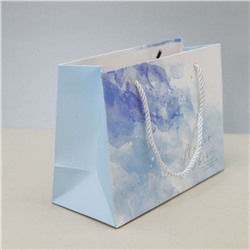 Пакет подарочный (XS) "Planer", blue (19.5*14.5*10)