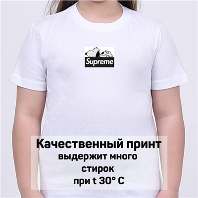 Футболка S*uprеme арт 10030