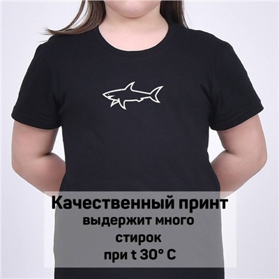 Футболка Paul Shark арт 9888