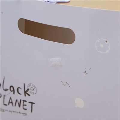 Пакет подарочный (M) «Black planet hare», pink (31.5*24.5*12.5)