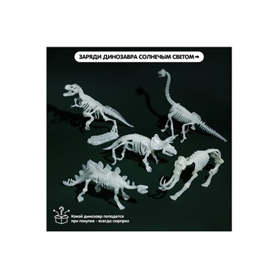Светящийся 3D конструктор «Скелет динозавра»