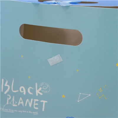 Пакет подарочный (M) «Black planet bear», blue (31.5*24.5*12.5)