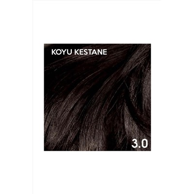 Color 3.0 Chestnut - безаммиачный травяной стойкий цвет волос 8697581241537