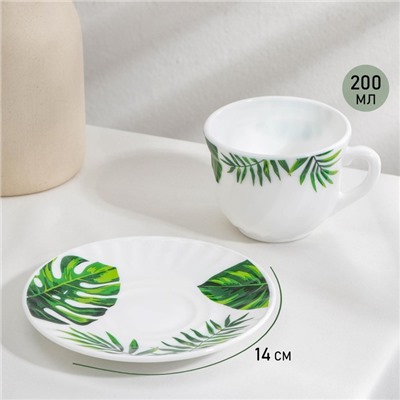 Сервиз чайный «Лист папоротника», 12 предметов: чашка 200 мл, блюдце d=14 см, стеклокерамика, цвет белый