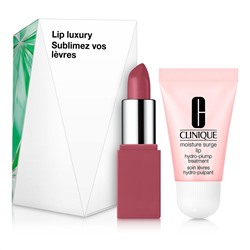 Cofre Lip Luxury - 2 productos - #Rouge intense y #Plum Pomp - 7 ml + 2,3 g