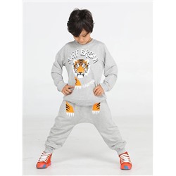 Спортивный костюм для мальчика Casabony Tiger Grey