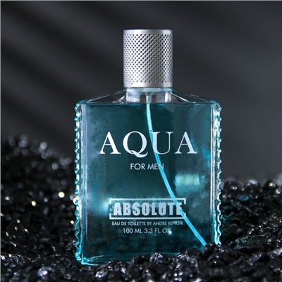 Туалетная вода мужская Absolute Aqua, 100 мл (по мотивам Acqua Di Gio (G.Armani)