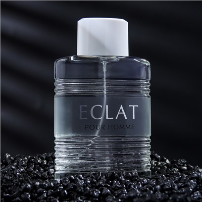 Туалетная вода мужская ECLAT pour Homme, 100 мл