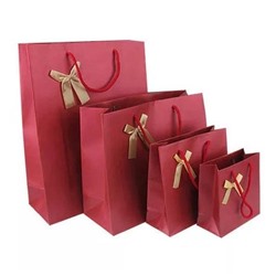 Набор бумажных подарочных крафт пакетов 2 шт. Red