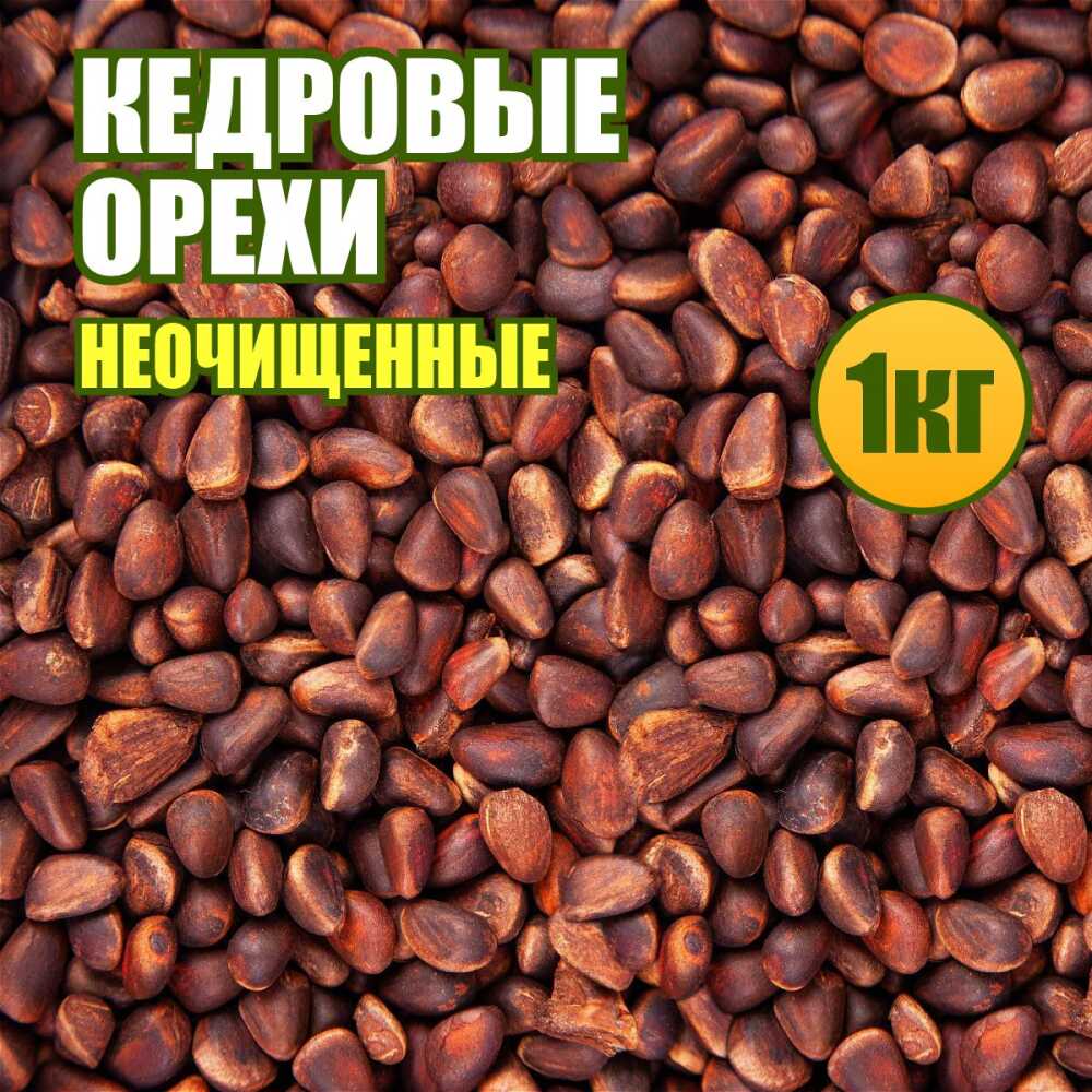 Кедровые орешки неочищенные весовые 1 кг. купить, отзывы, фото, доставка -  КАПУСТА │ Совместные покупки Краснодар, Краснодарский край, Новокузнецк, Но