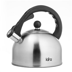 Чайник LR00-05