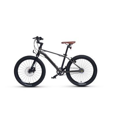 Велосипед 20'' Maxiscoo 7Bike M700, цвет графит