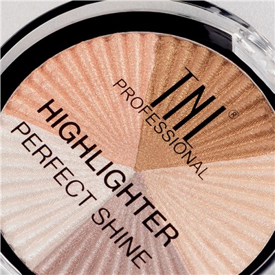 Хайлайтер для лица TNL Perfect Shine, 6.5 г