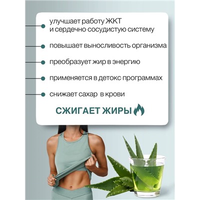 Aloe gel fit L-carnitine liquid  / Алоэ Гель Фит L-Карнитин жидк. / NUTRIHEAL