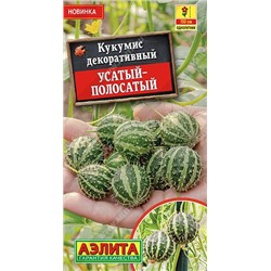 Кукумис декоративный Усатый-полосатый (Код: 89534)