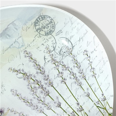 Блюдо стеклянное сервировочное овальное Доляна «Весенний роман», 29,5×20,3×2,1 см