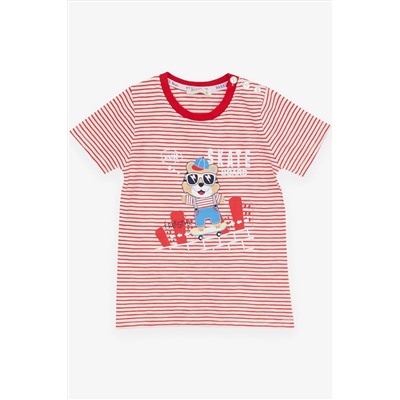 Комплект шорт Breeze Boy в полоску, крутой красный с животным принтом (1,5–5 лет)