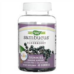 Nature's Way, Sambucus, стандартизированный экстракт бузины для детей, 60 жевательных конфет