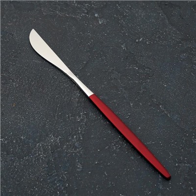 Нож столовый из нержавеющей стали Magistro «Блинк», длина 22 см, на подвесе, цвет серебряный, красная ручка