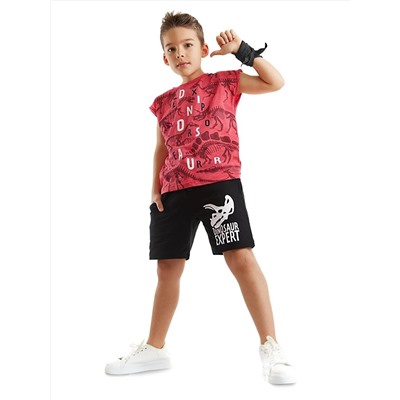 MSHB&G Комплект футболки и шорт для мальчика Dinosaur Expert