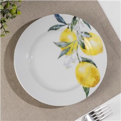 Тарелка фарфоровая «Лимоны», d=20 см, белая