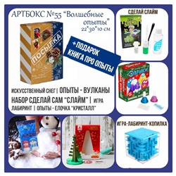 031-0055  Артбокс №055 "Новогодние опыты" (7-12 лет) (5 подарков)