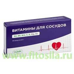 Витамины для сосудов - БАД, "СОИК", № 30 капс. х 0,5 г