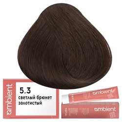 Крем-краска для волос AMBIENT 5.3, Tefia