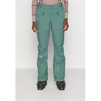 The North Face - LENADO PANT - брюки для сноуборда - темно-зеленый