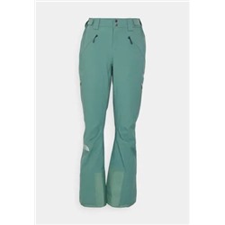 The North Face - LENADO PANT - брюки для сноуборда - темно-зеленый