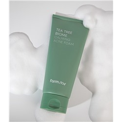 (Корея) Успокаивающая пенка для умывания для проблемной кожи FarmStay Tea Tree Biome Calming Acne Foam 180мл