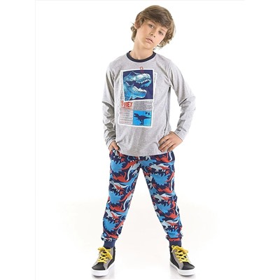 MSHB&G Комплект спортивных штанов и футболки для мальчика T-rex