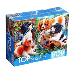 TOPpuzzle ПАЗЛЫ 1000 элементов