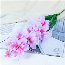 Цветы искусственные "Орхидея амезиелла" 65 см, сиреневый