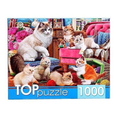 TOPpuzzle ПАЗЛЫ 1000 элементов