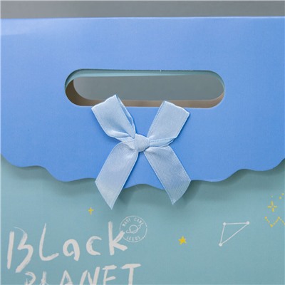 Пакет подарочный (M) «Black planet bear», blue (31.5*24.5*12.5)