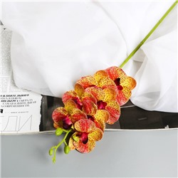Цветы искусственные "Орхидея экстра галант" 60 d-8 см, жёлтый