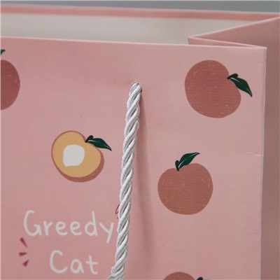 Пакет подарочный (XS) "Greedy cat peach", pink (19.5*14.5*10)