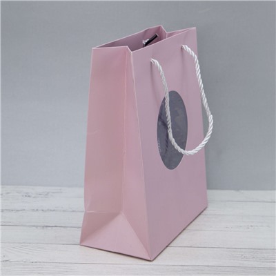 Пакет подарочный (S) "Shiny wind", pink (24.5*19.5*9.5)