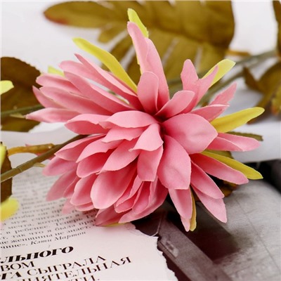 Цветы искусственные "Георгин Кактусовый" d-3,5 см 40 см розовый