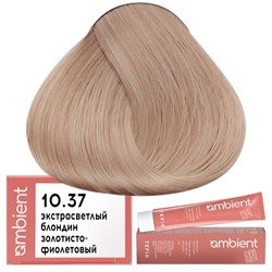 Крем-краска для волос AMBIENT 10.37, Tefia
