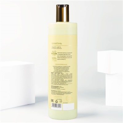 Шампунь для волос, 410 мл, защита цвета и блеск волос, BASIC LINE by URAL LAB