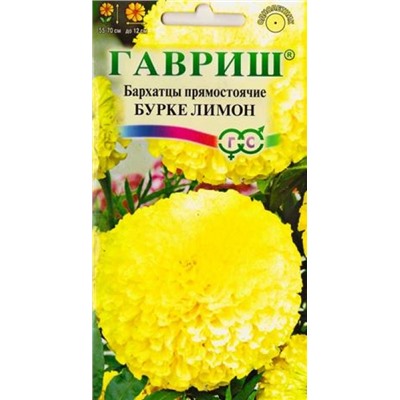 Бархатцы Бурке Лимон (Код: 82196)