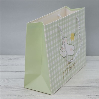 Пакет подарочный (S) "Hare lies cell", green (24.5*20*9.5)
