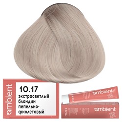 Крем-краска для волос AMBIENT 10.17, Tefia