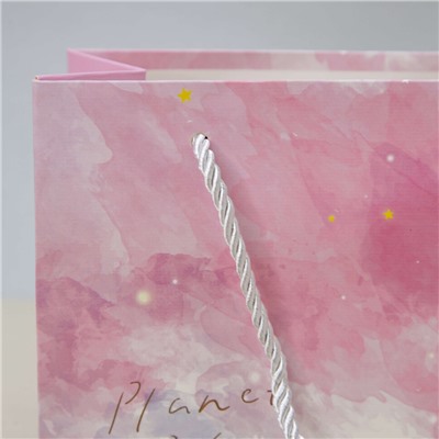 Пакет подарочный (XS) "Planer", pink (19.5*14.5*10)