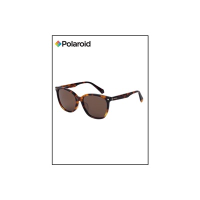 Солнцезащитные очки PLD 4113/F/S/X 086