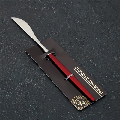 Нож столовый из нержавеющей стали Magistro «Блинк», длина 22 см, на подвесе, цвет серебряный, красная ручка