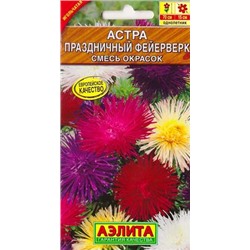 Астра Праздничный фейерверк (Код: 4876)