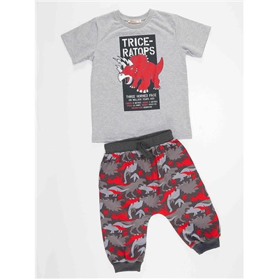 MSHB&G Комплект из футболки и шорт-капри с трицератопсом для мальчика